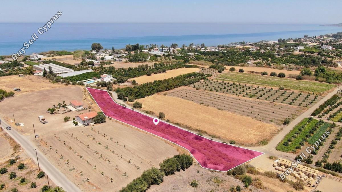 land for sale argaka paphos 8629566 image 15868974