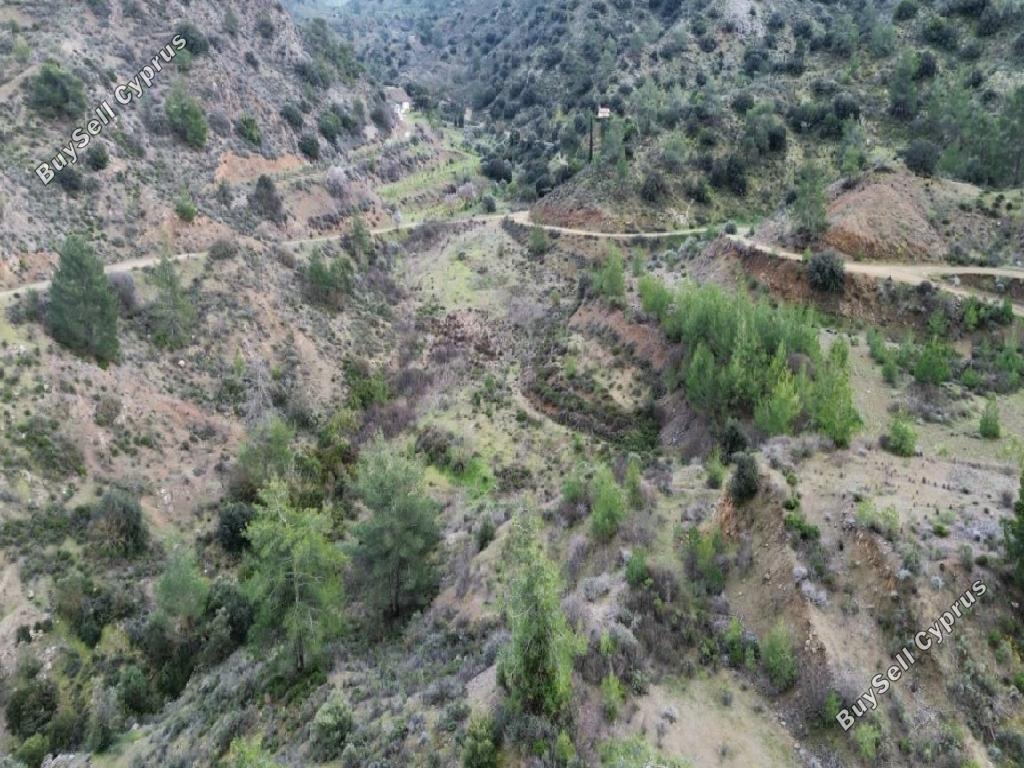 land for sale kalo chorio lemesou limassol 8798566 image 16717918