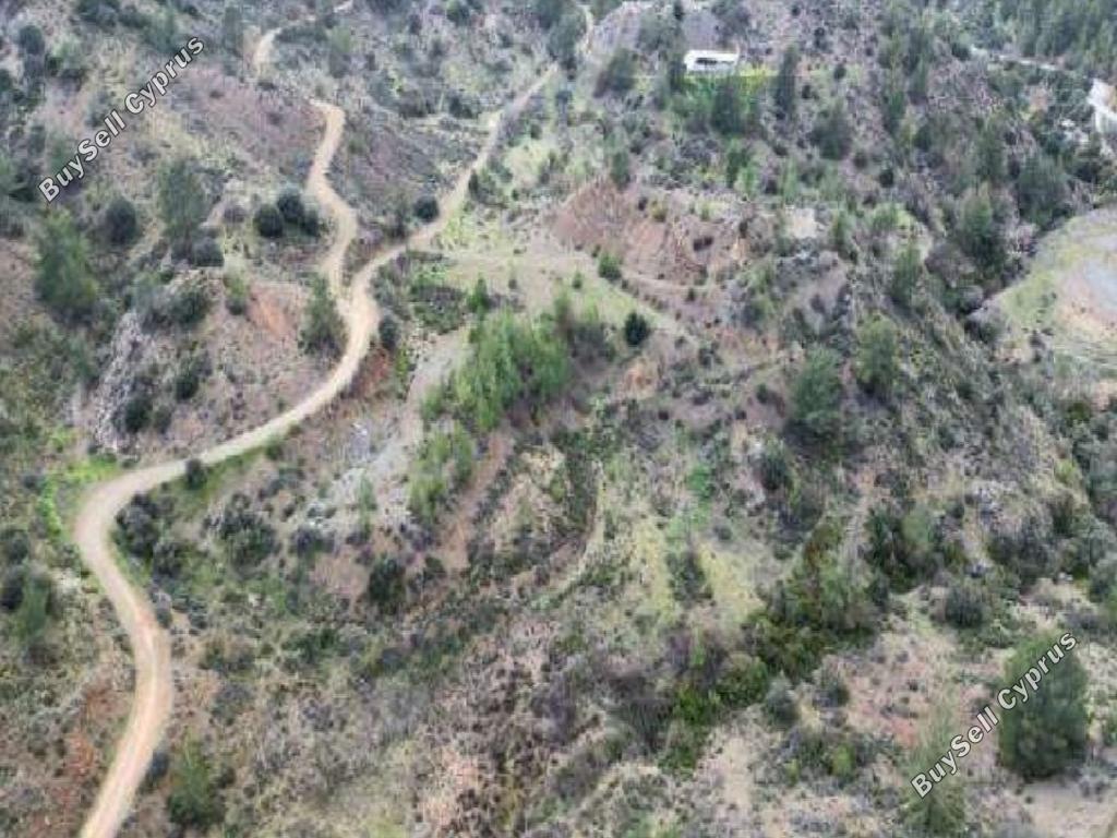 land for sale kalo chorio lemesou limassol 8798566 image 16717920
