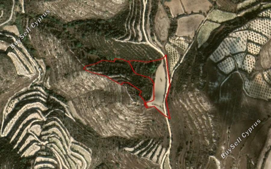 land for sale koili paphos 8649566 image 16685845