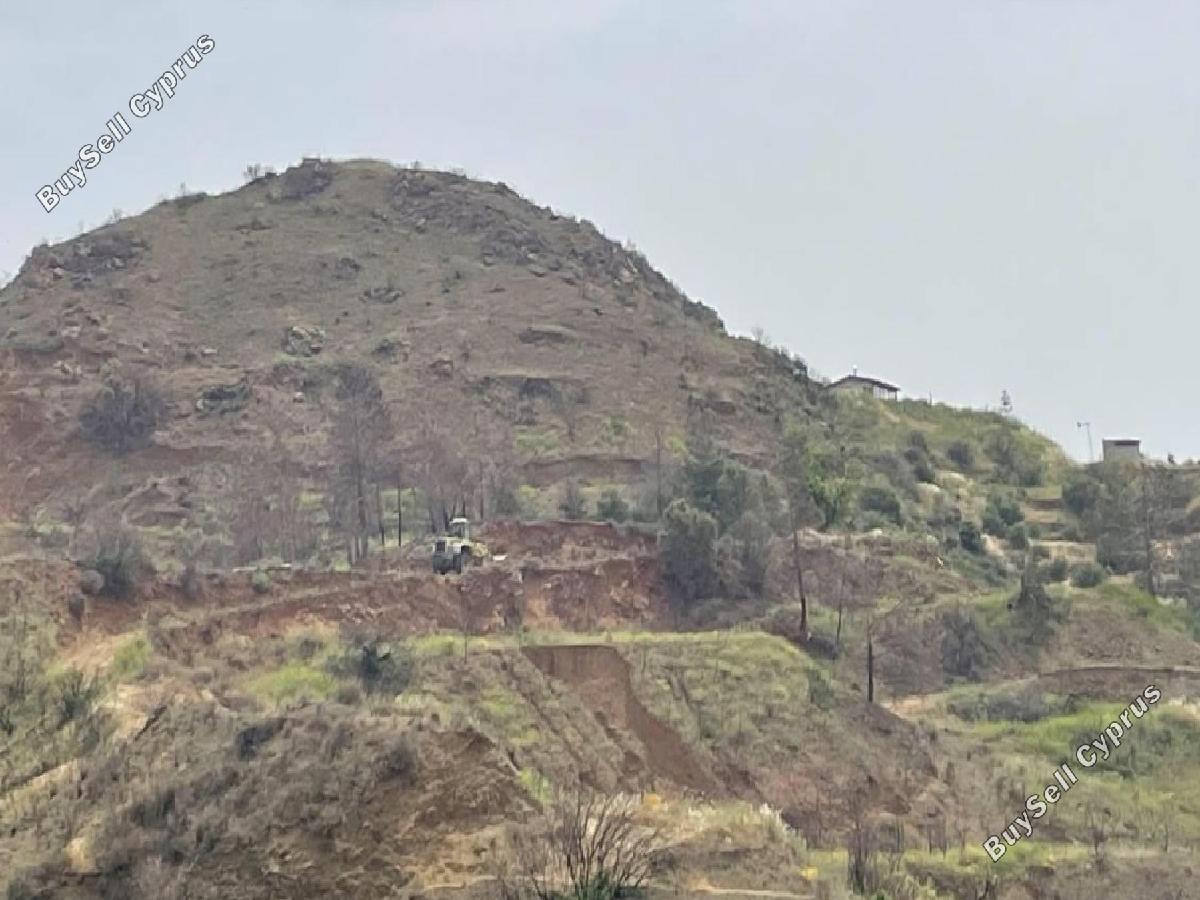 land for sale ora larnaca 8726566 image 16332244