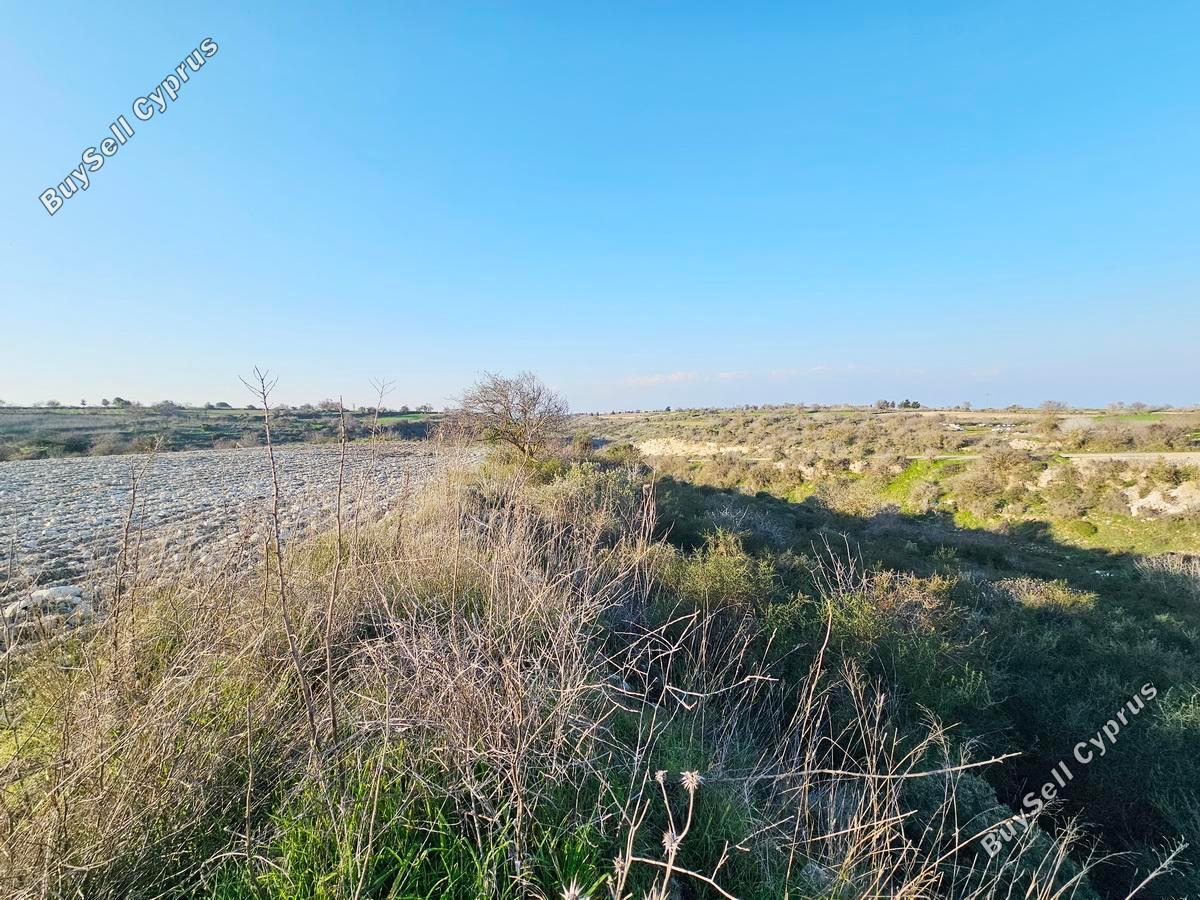 land for sale pano arodes paphos 1648566 image 4215421