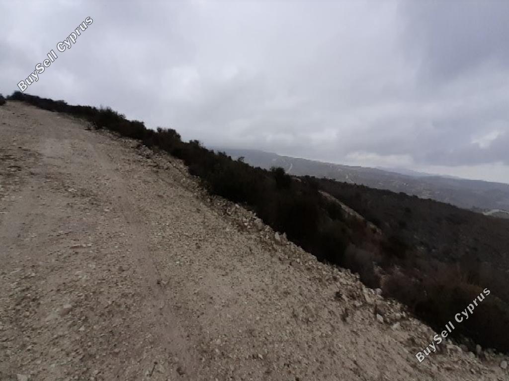 land for sale kato drys larnaca 1380666 image 15599715