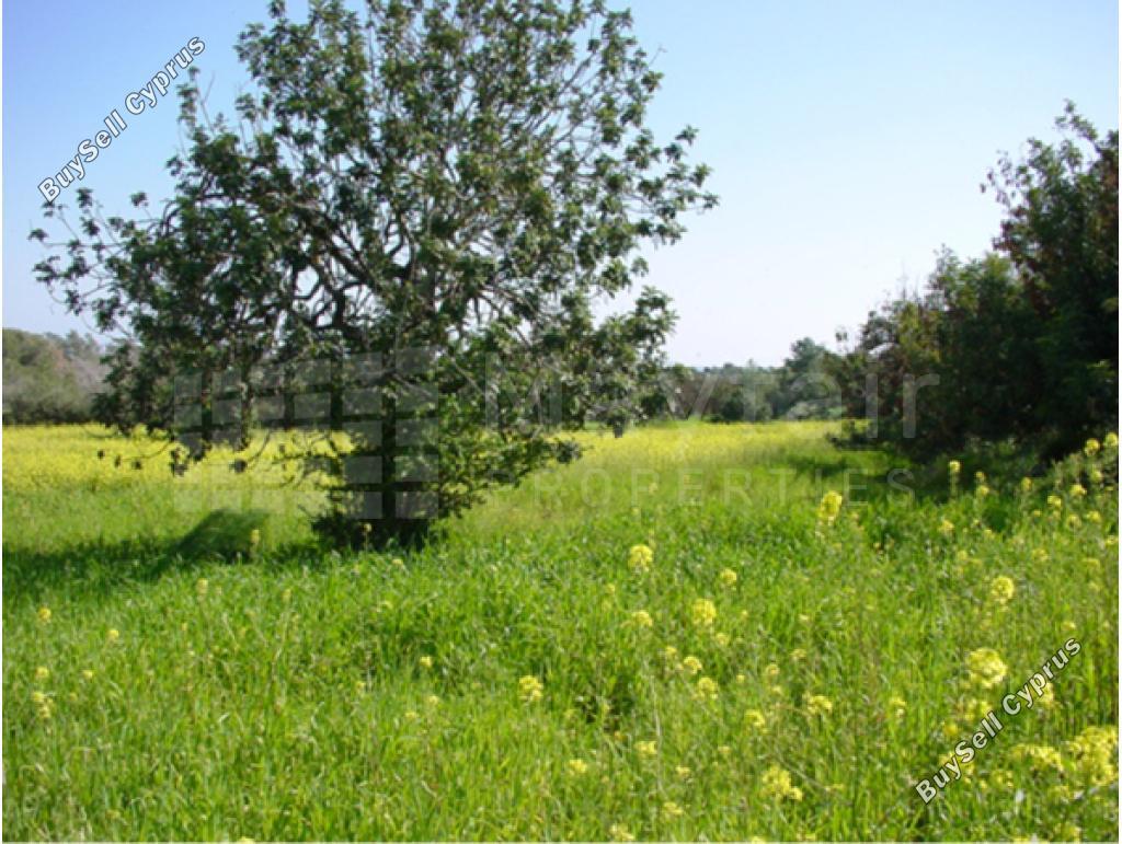 land for sale mazotos larnaca 8106666 image 13246246