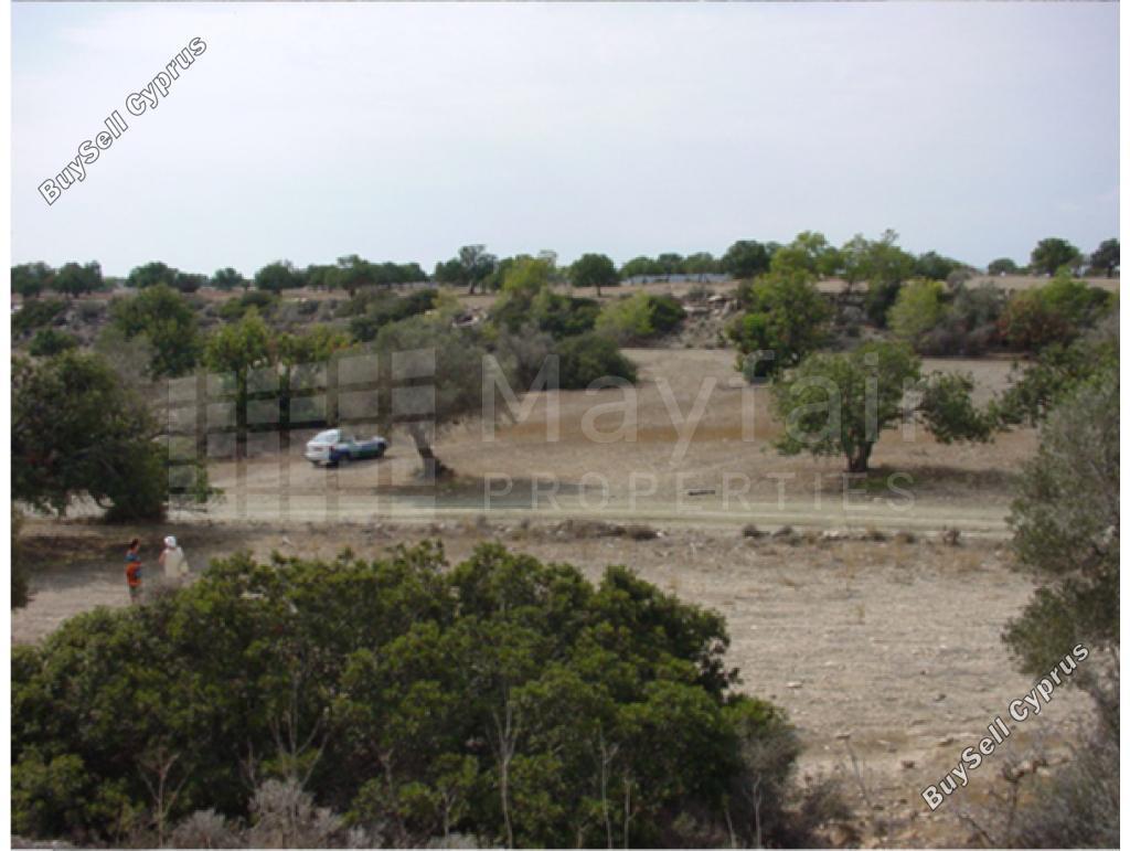 land for sale mazotos larnaca 8106666 image 13246247