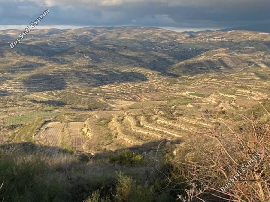 land for sale pachna limassol 8785666 image 16656179