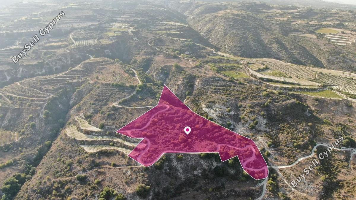 land for sale theletra paphos 8629666 image 15869486