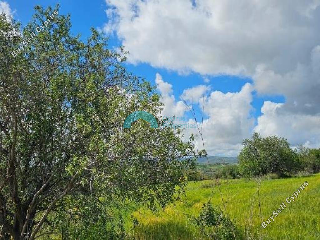 land for sale drynia paphos 7879766 image 16015747