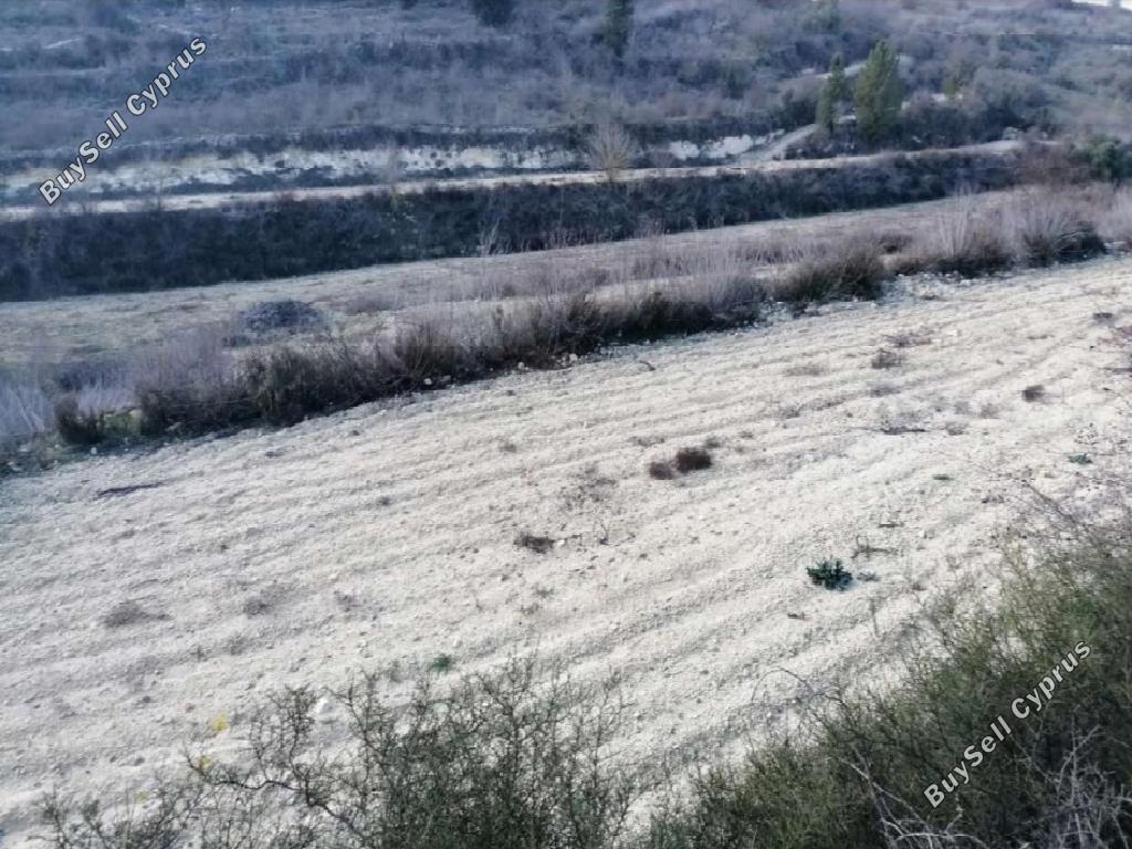 land for sale kathikas paphos 8833766 image 17011023
