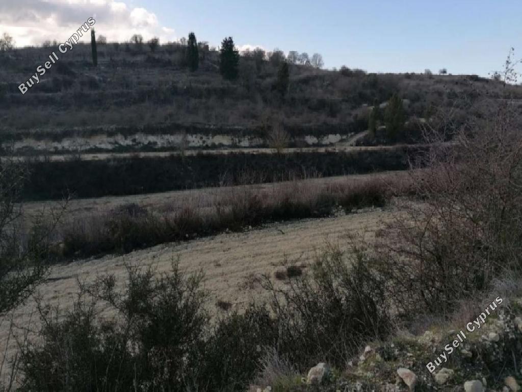 land for sale kathikas paphos 8833766 image 17011024