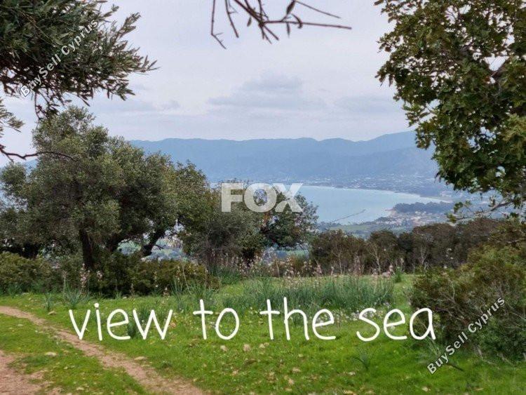 land for sale neo chorio paphos 1159766 image 5529536