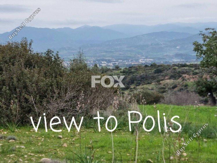 land for sale neo chorio paphos 1159766 image 5529545