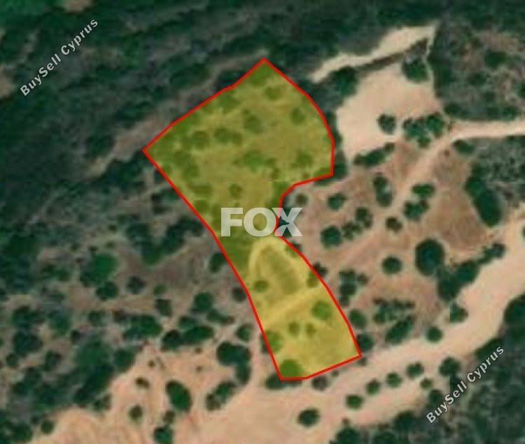 land for sale neo chorio paphos 1159766 image 5529556
