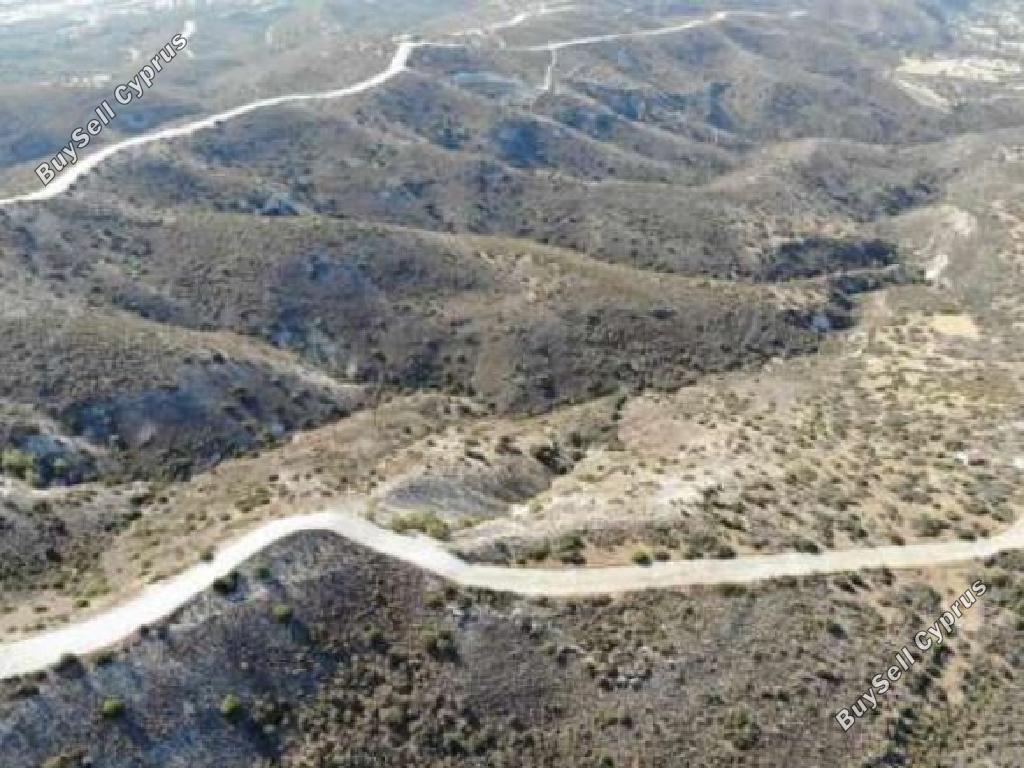 land for sale ora larnaca 945766 image 15602230