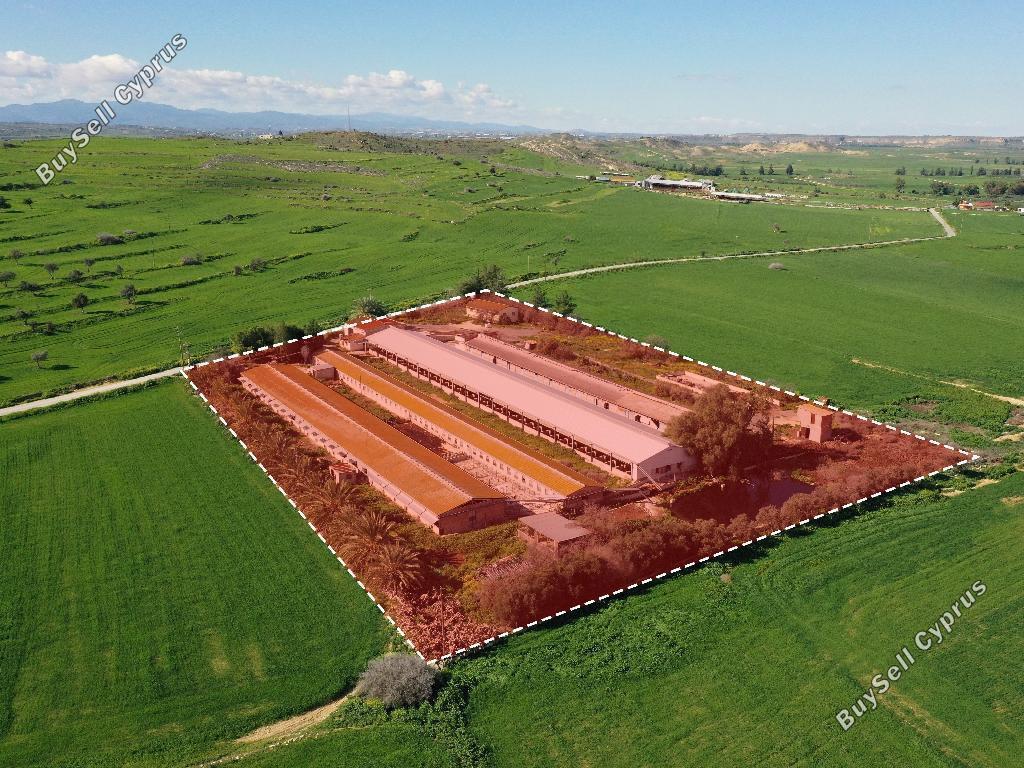 studio building for sale petrofani larnaca 8791766 image 16683799
