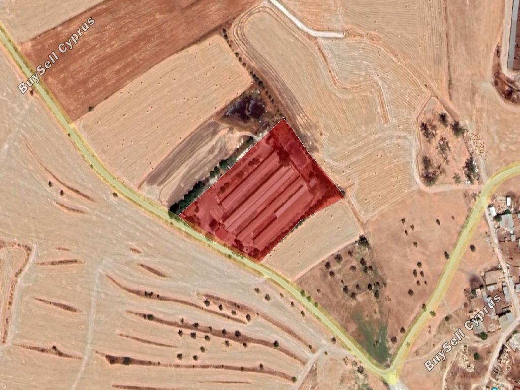 studio building for sale petrofani larnaca 8791766 image 16683803