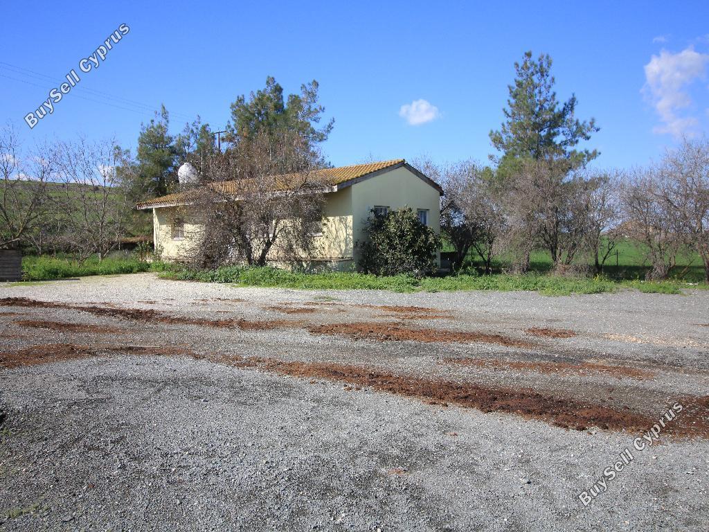 studio building for sale petrofani larnaca 8791766 image 16683805