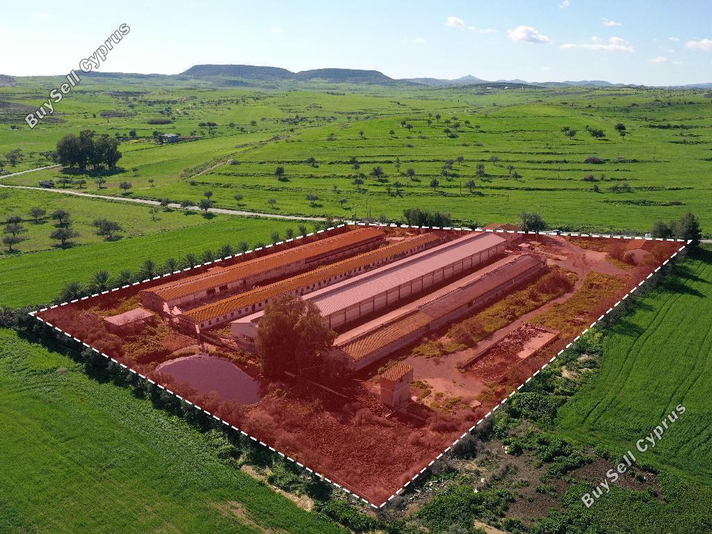 studio building for sale petrofani larnaca 8791766 image 16683813
