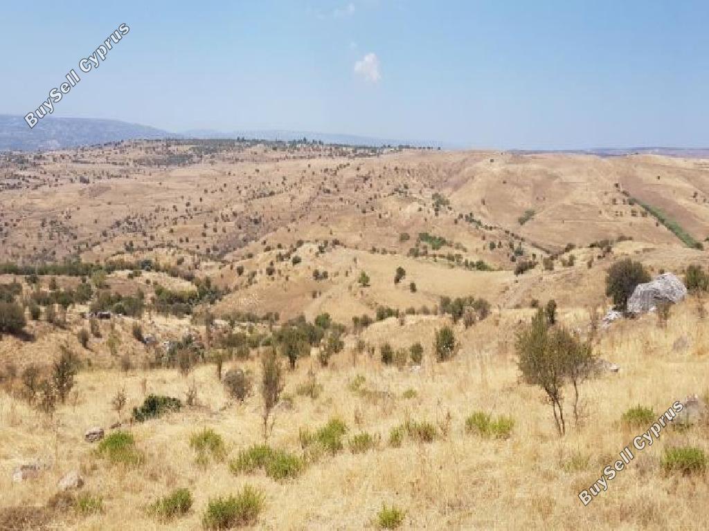 16093 SQM Land for sale in Pentalia, Paphos 15599808