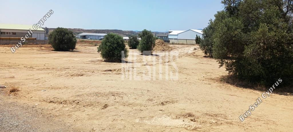 studio warehouse for sale tseri nicosia 974966 image 11037332