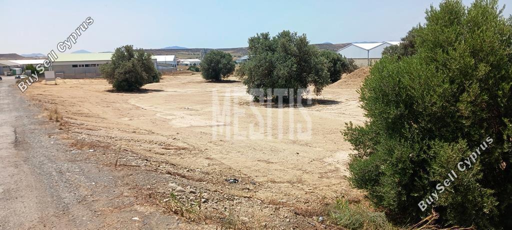 studio warehouse for sale tseri nicosia 974966 image 11037334