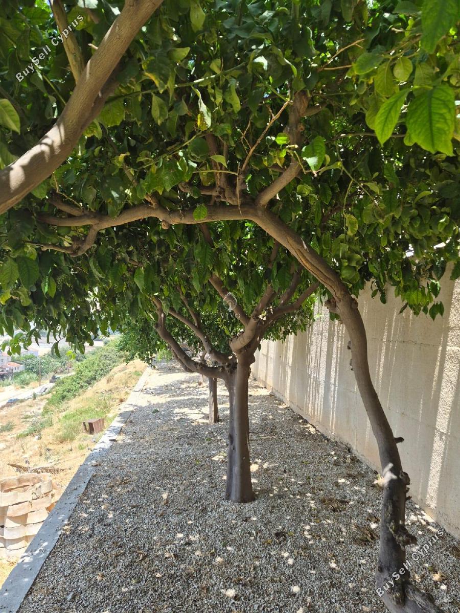 2 bedroom apartment for rent panthea limassol 8893076 image 17650717