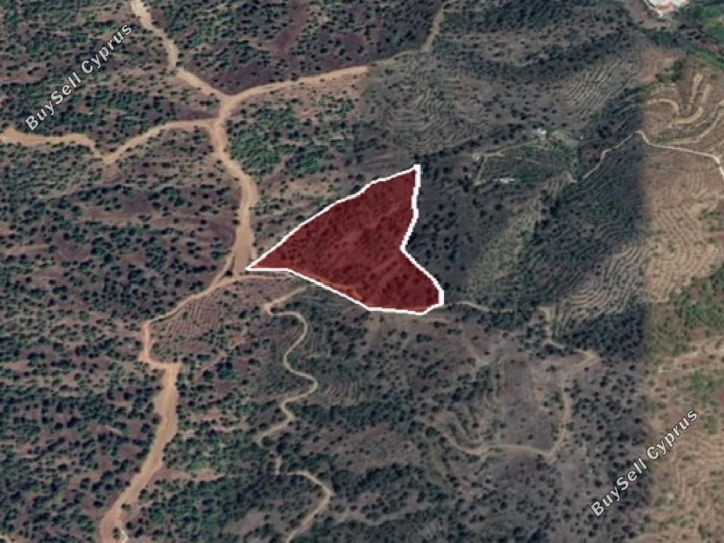 land for sale agios theodoros soleas nicosia 946076 image 6816002