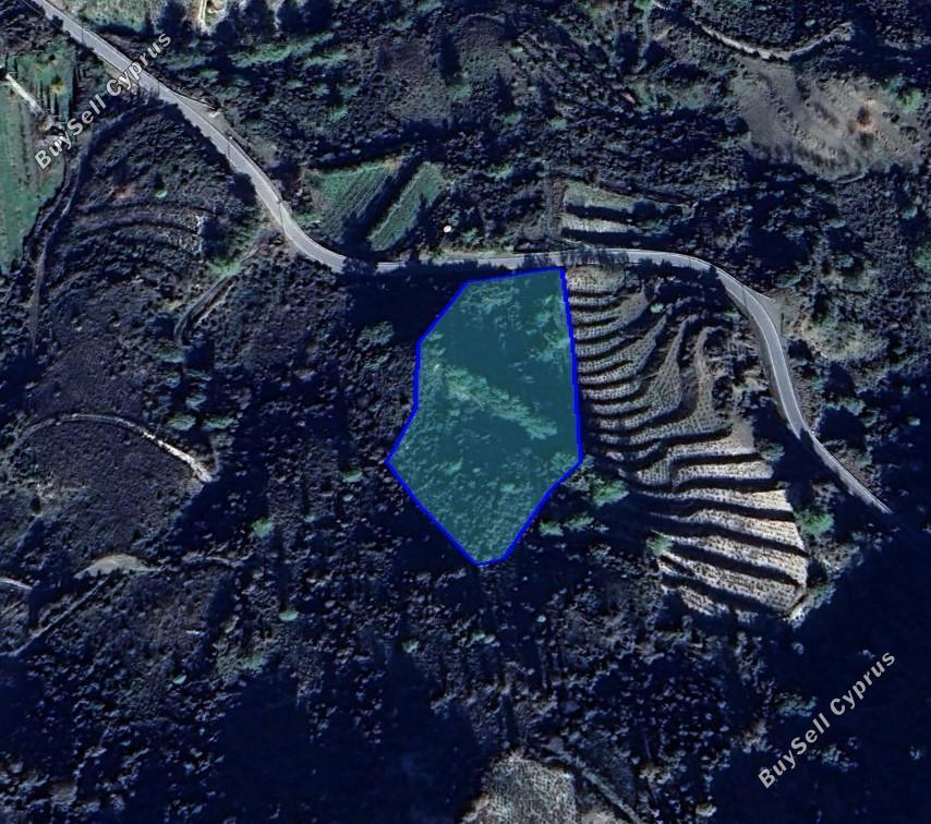 land for sale kato platres limassol 1682076 image 4381175
