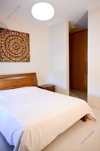 3 bedroom detached house for sale mesa chorio paphos 8395176 image 16041257