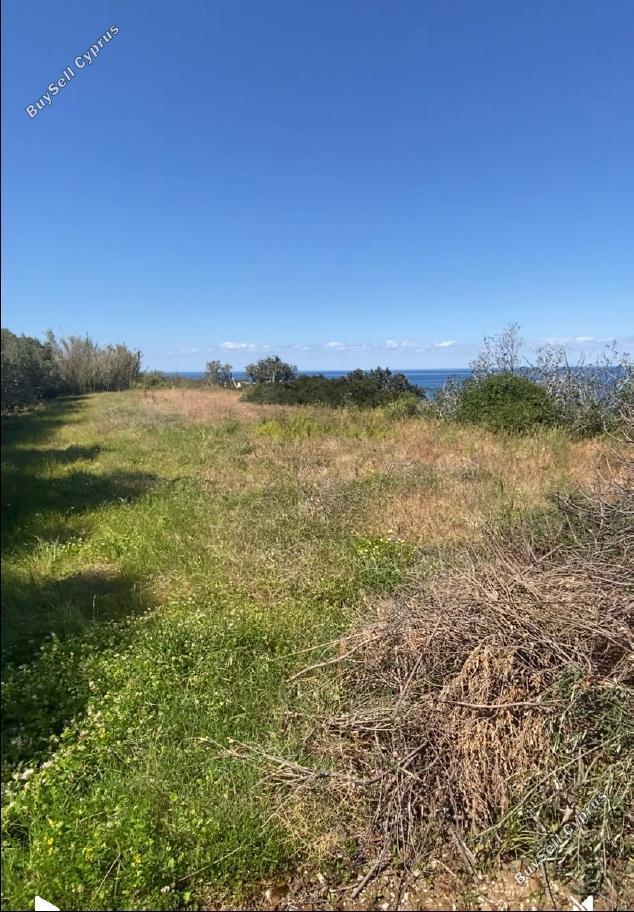 land under offer pomos paphos 1847276 image 6650493