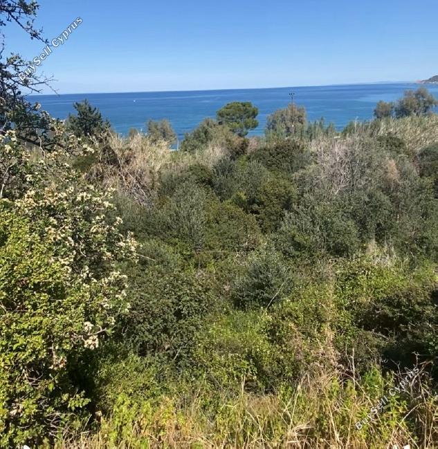 land under offer pomos paphos 1847276 image 6650494