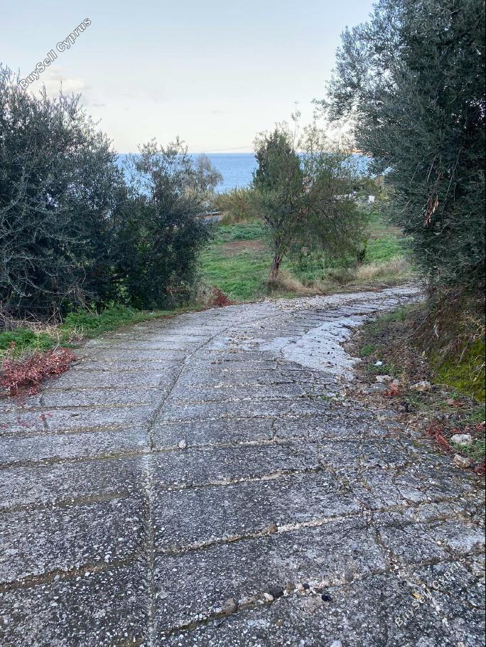 land under offer pomos paphos 1847276 image 6650499