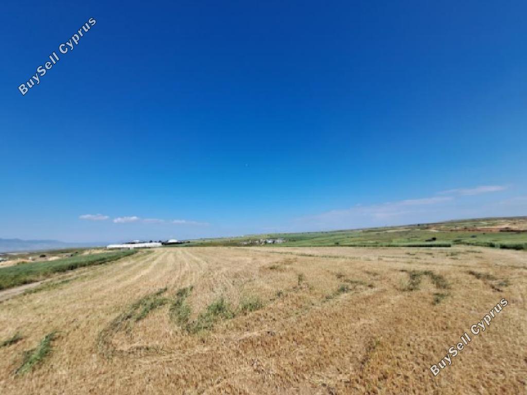 land for sale dali nicosia 1887376 image 15597138