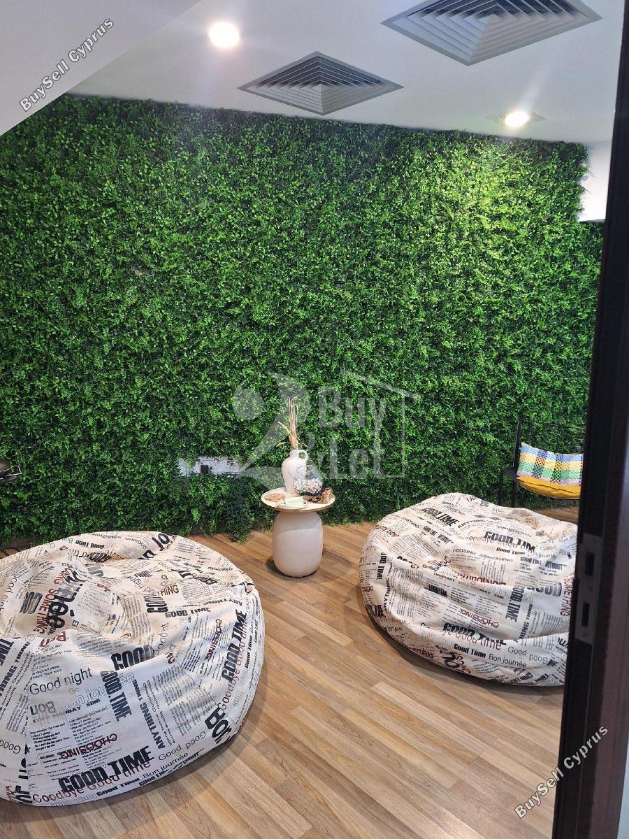 studio office for rent agios nektarios limassol 8351376 image 14451099