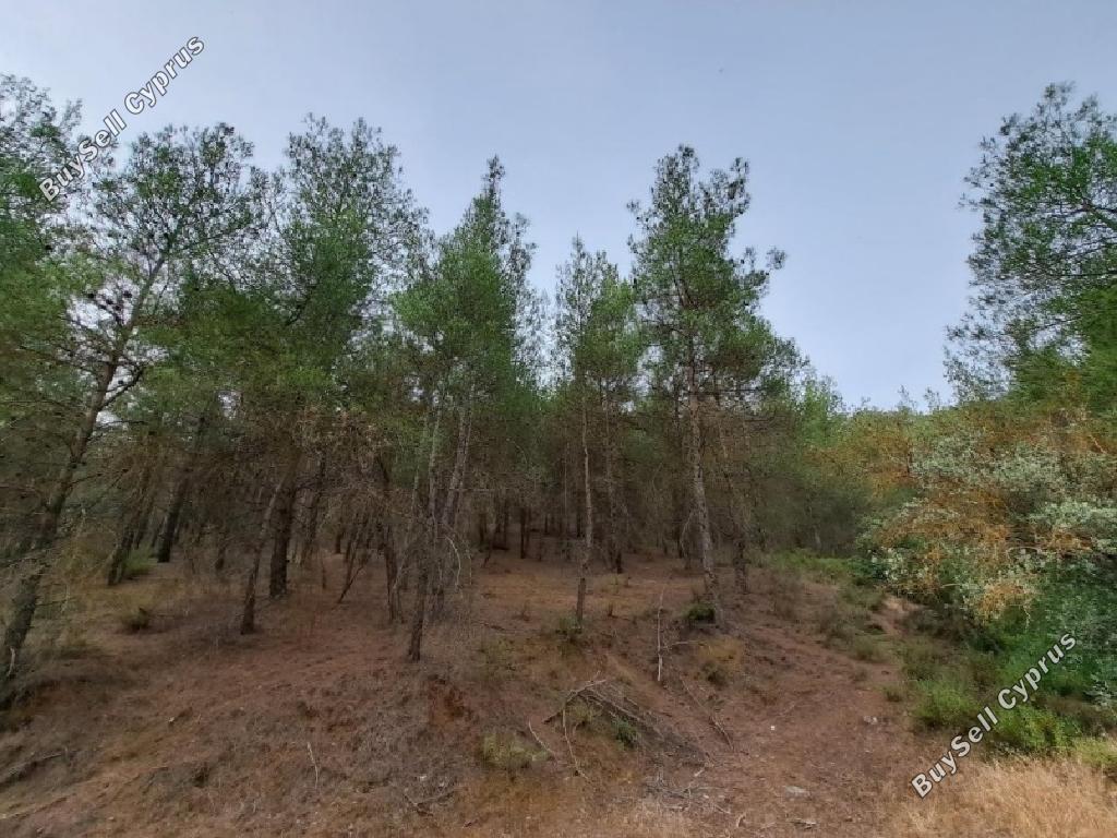 7844 SQM Land for sale in Palaichori Oreinis, Nicosia 4427241