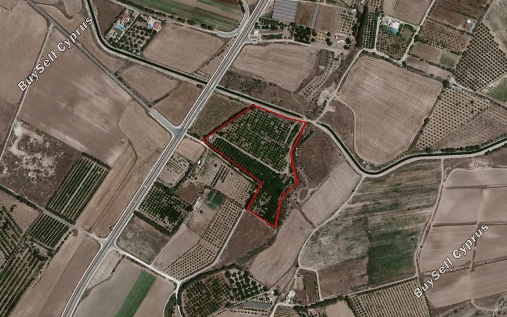 land under offer acheleia paphos 828476 image 15178586