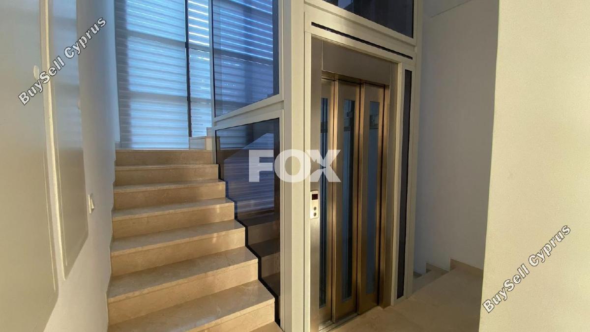 5 bedroom detached house for rent sea caves peyia paphos 1613576 image 10040002