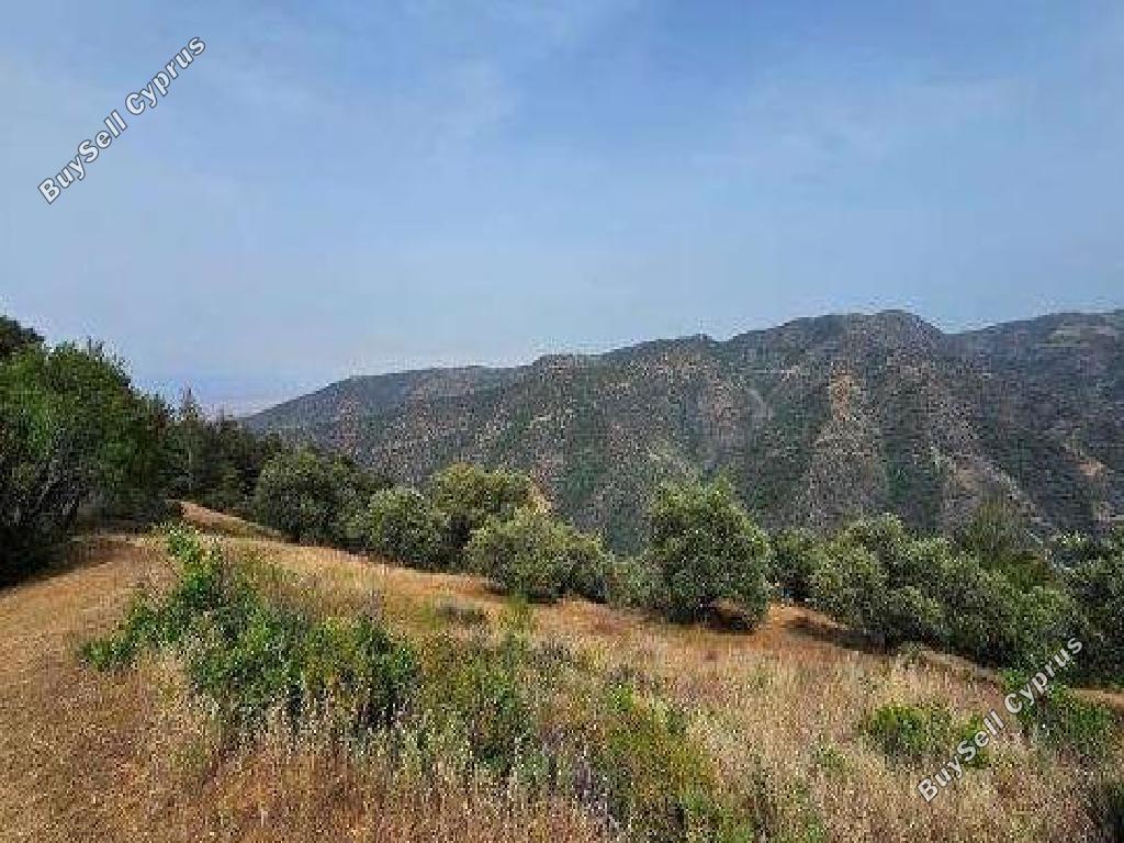 land for sale kalopanagiotis nicosia 8526576 image 15443754