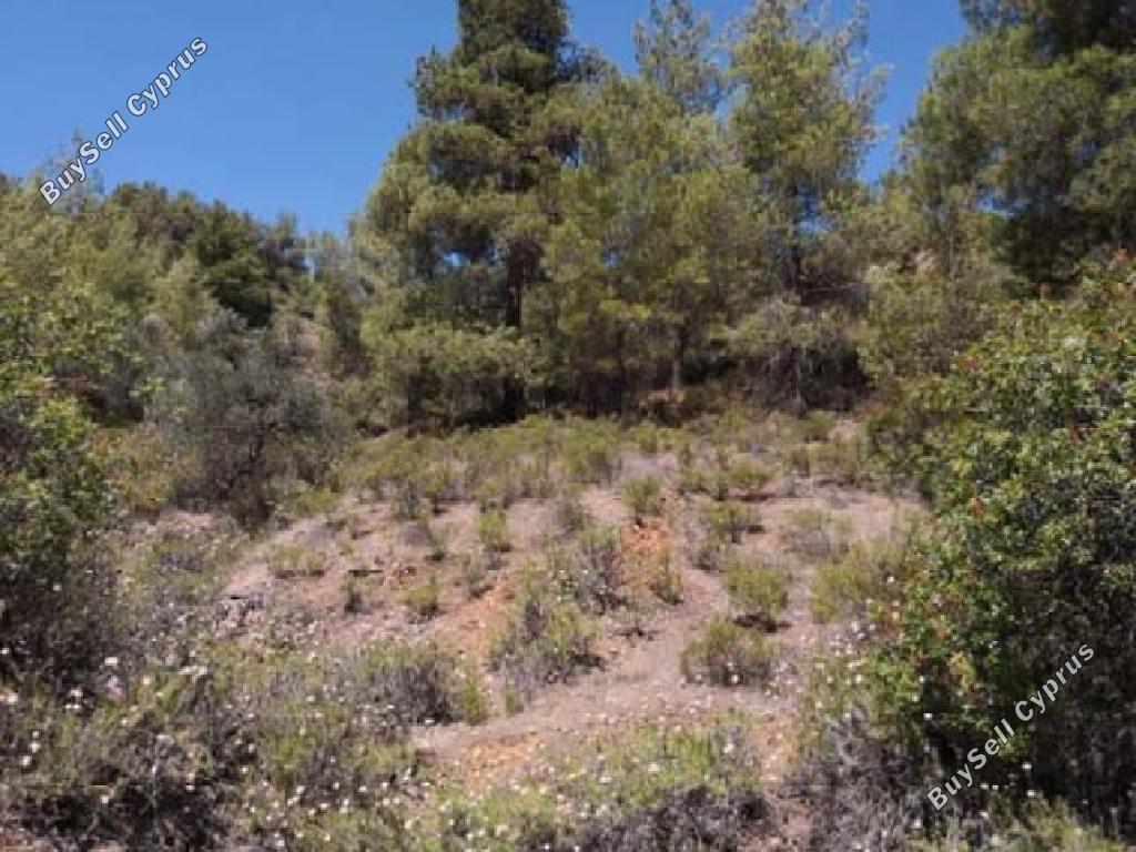 land for sale fterikoudi nicosia 945676 image 9439594