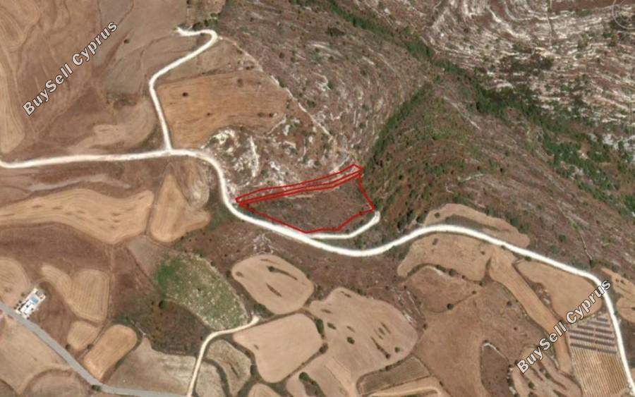 land for sale pano arodes paphos 8630676 image 15873930