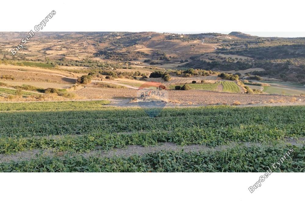 58195 SQM Land for sale in Filousa Chrysoxous, Paphos 14843954