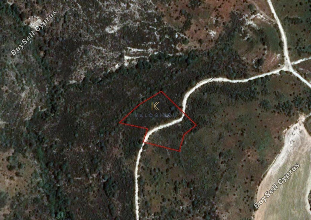 land for sale dora limassol 1194776 image 5570505
