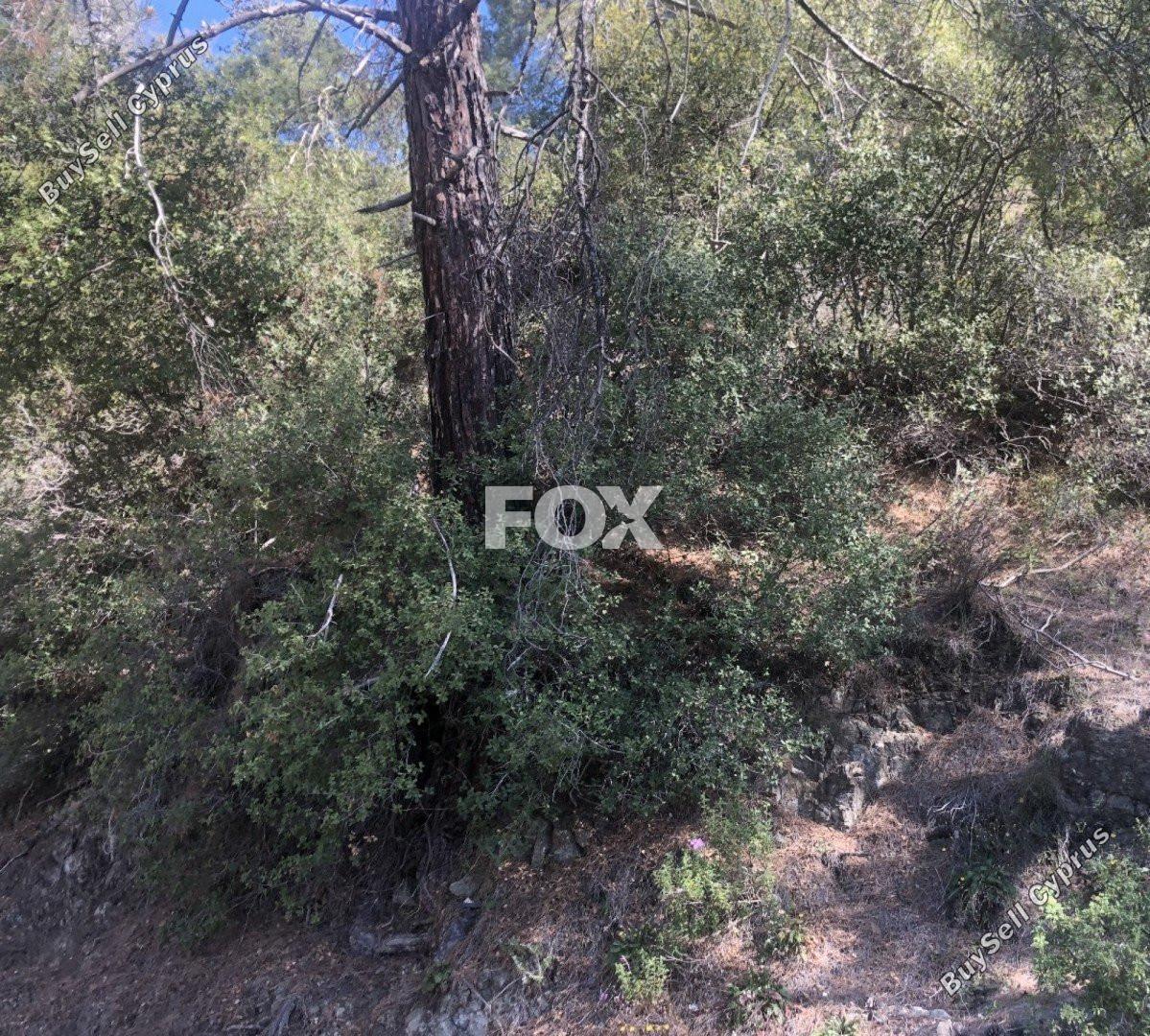 land for sale pera pedi limassol 1147776 image 5546337