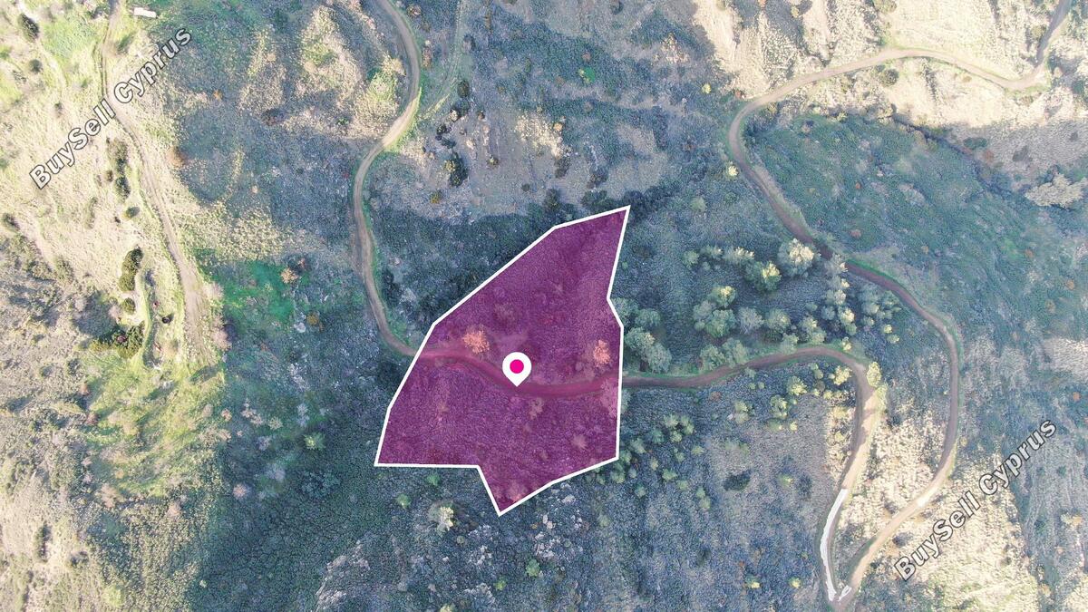 land for sale pigenia nicosia 1292776 image 3480702