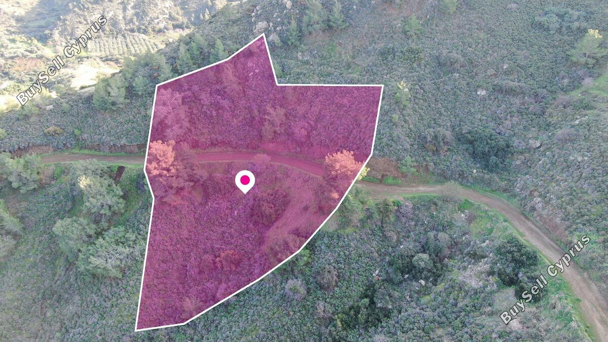 land for sale pigenia nicosia 1292776 image 3480705