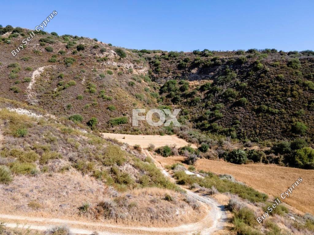 land for sale steni paphos 1500776 image 5629645