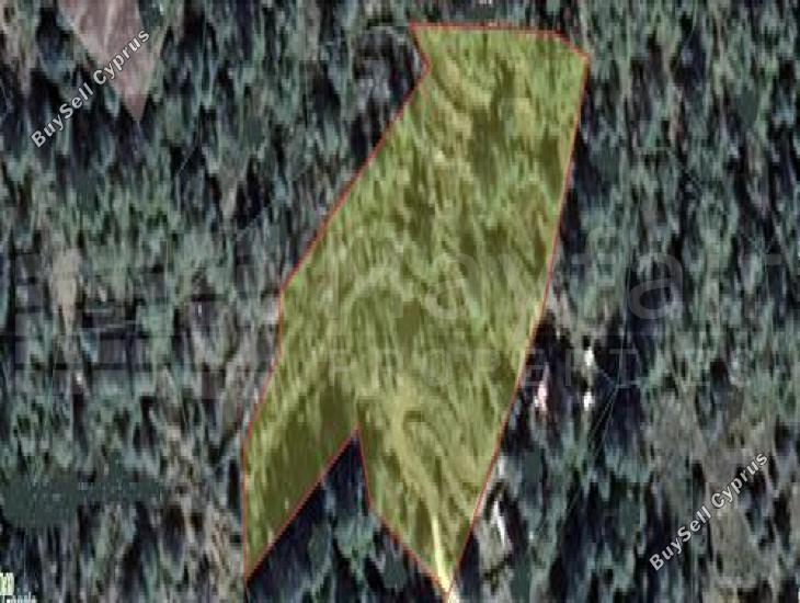 9700 SQM Land for sale in Vavatsinia, Larnaca 11395702