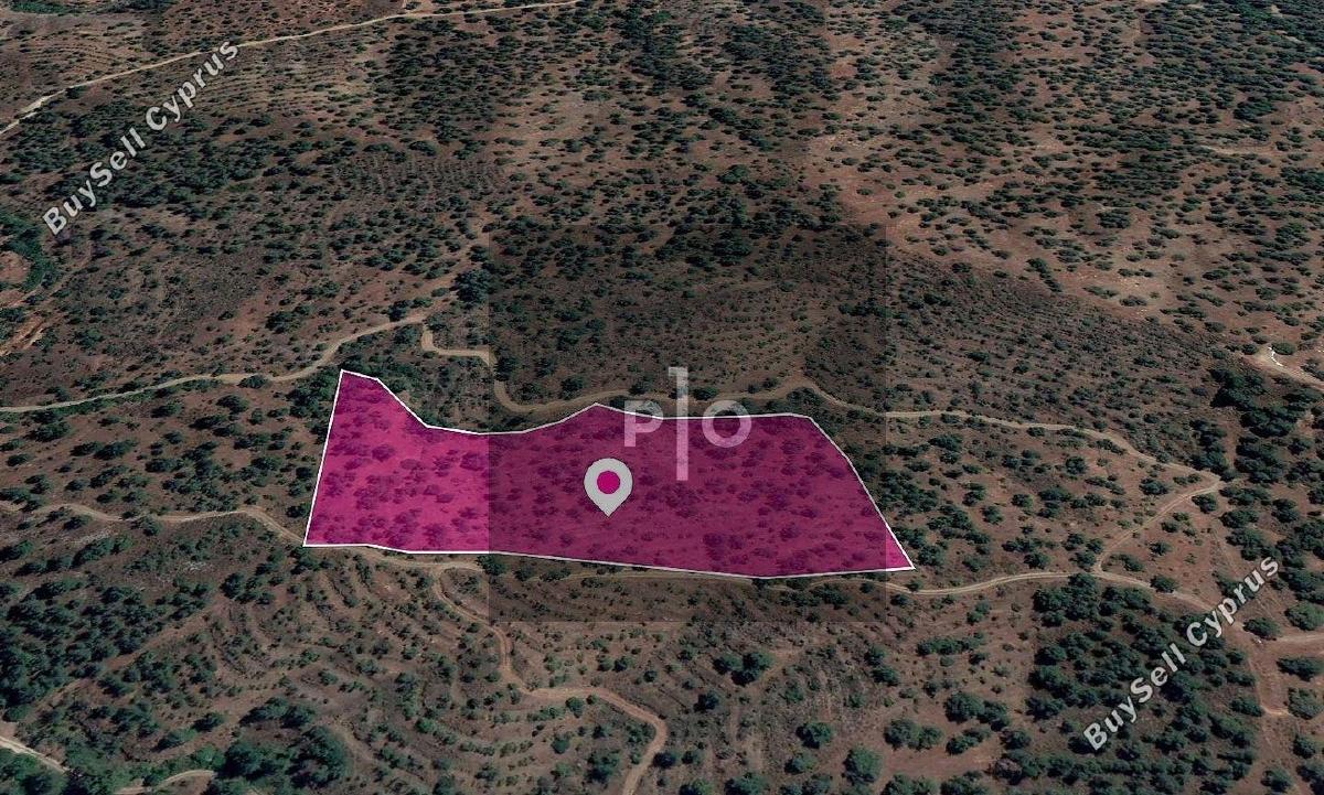 19399 SQM Land for sale in Agios Theodoros Soleas, Nicosia 15155969