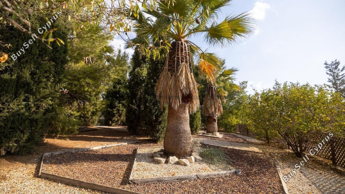 4 bedroom detached house for sale steni paphos 7544876 image 17403833
