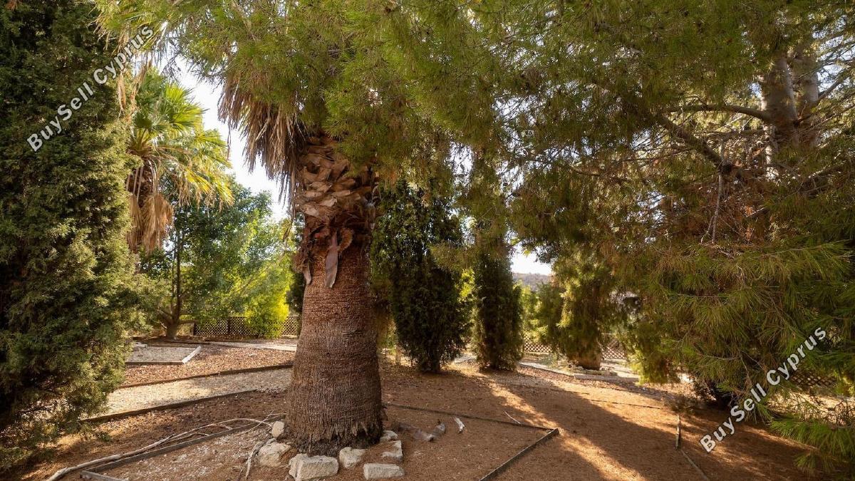 4 bedroom detached house for sale steni paphos 7544876 image 17403834